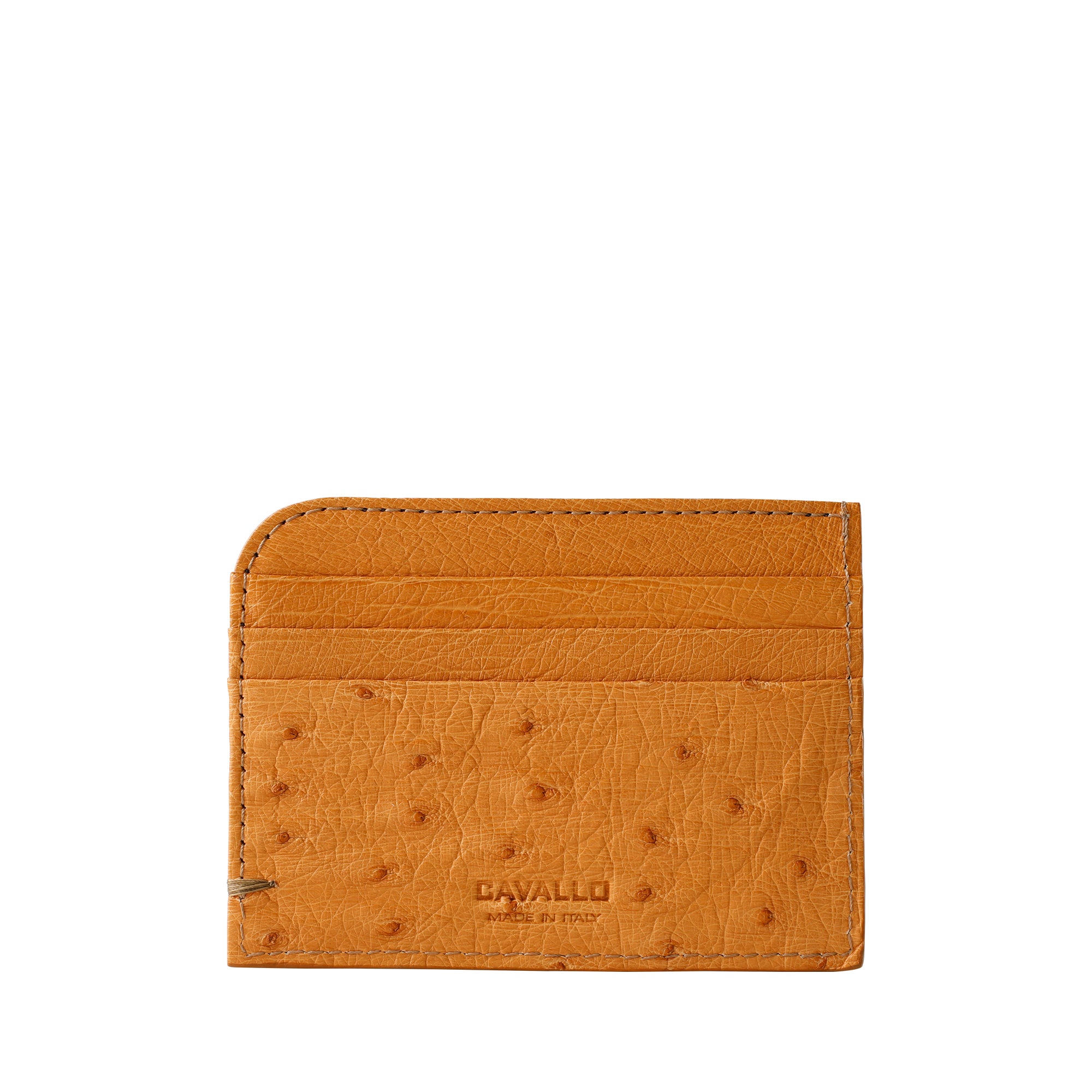 ART16 MEN'S CARD HOLDER OSTRICH