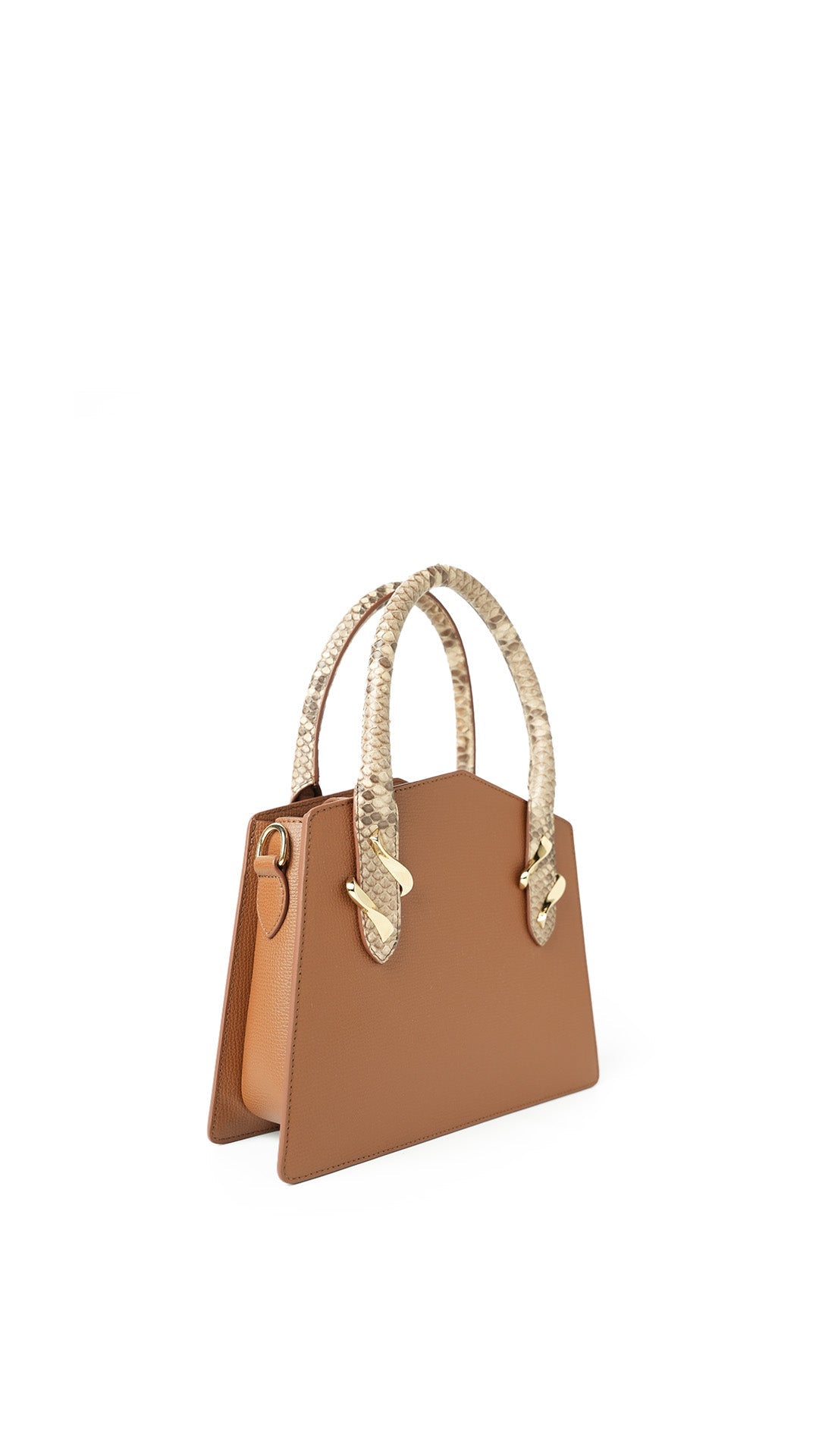 Dream Bag crumb python lion and beige